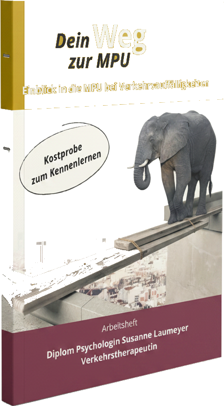 Kostprobe als Heft: Einblick in die MPU bei Verkehrsauffälligkeiten